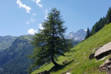 Laboratorio di Cucina della Gioia a Gignese (VB)
